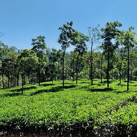 Cassells Jungle Resorts Thekkady Vandiperiyar Экстерьер фото