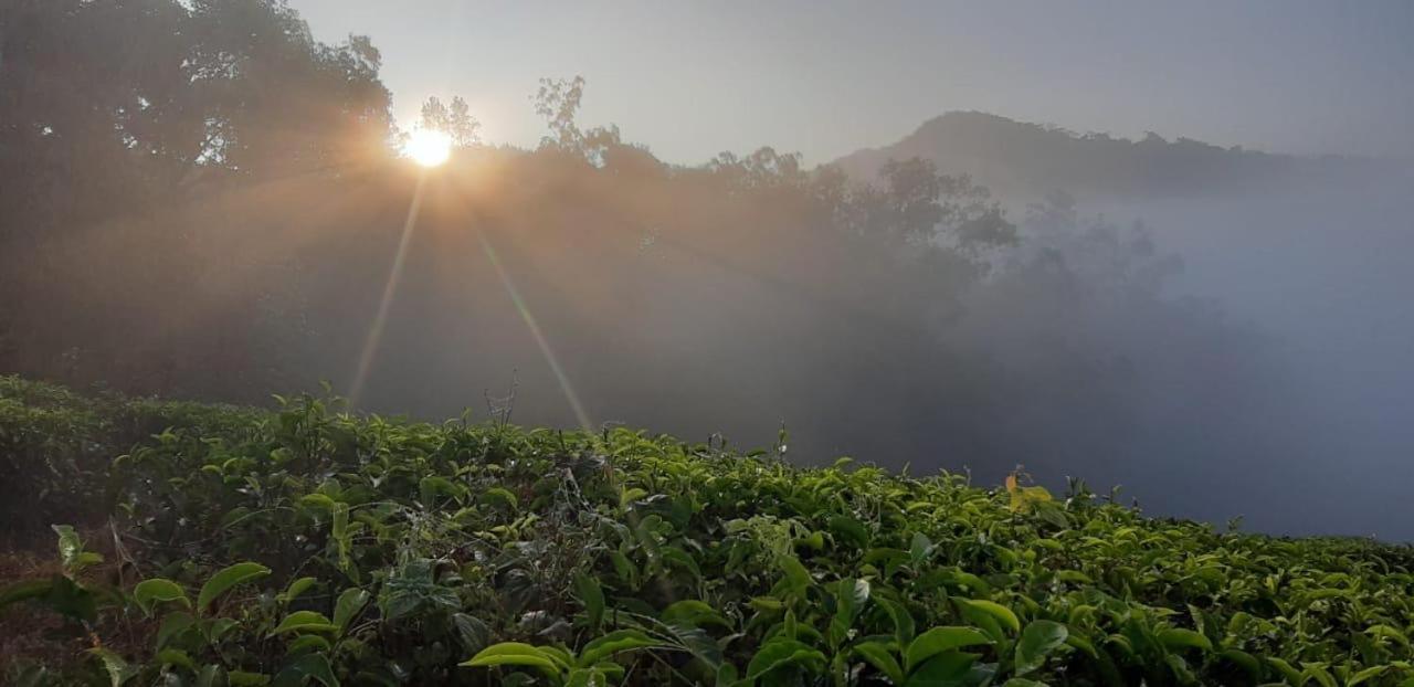 Cassells Jungle Resorts Thekkady Vandiperiyar Экстерьер фото