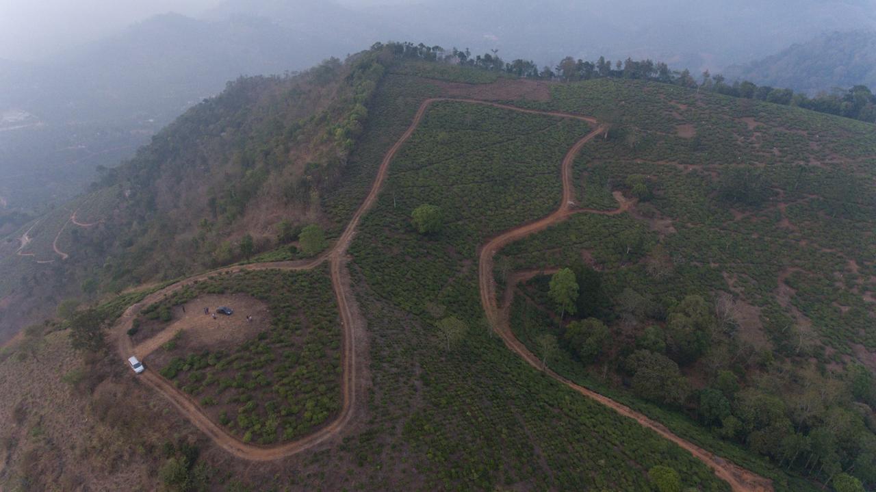 Cassells Jungle Resorts Thekkady Vandiperiyar Экстерьер фото