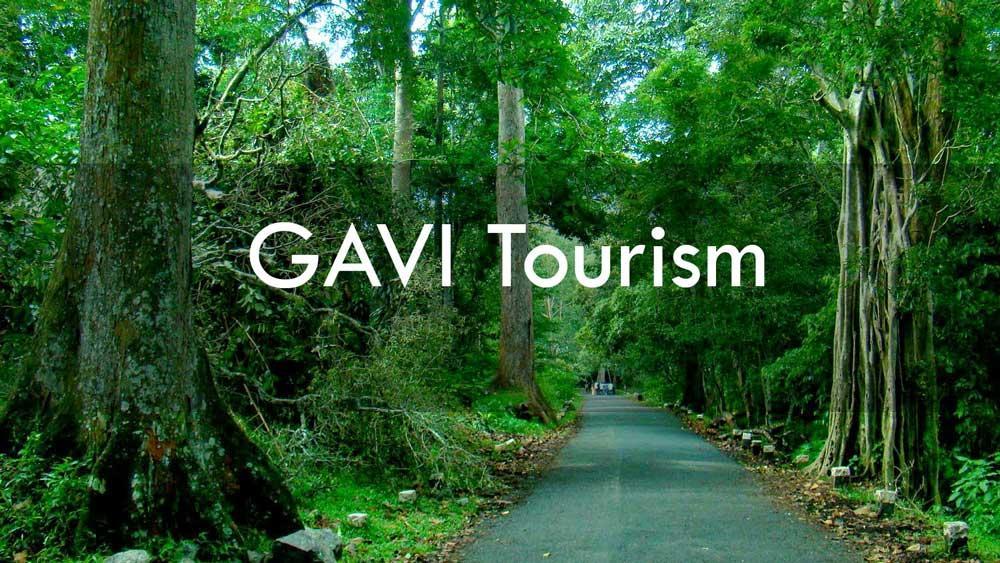 Cassells Jungle Resorts Thekkady Vandiperiyar Экстерьер фото